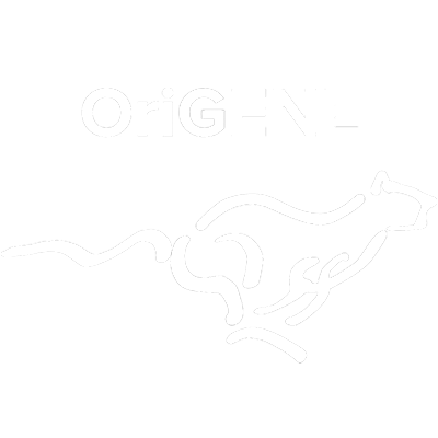 Origene Icoon